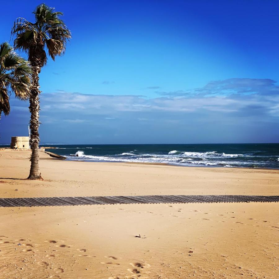 La Mata.Torrevieja.New Apartment 1M To The Beach) La Mata  Exterior photo